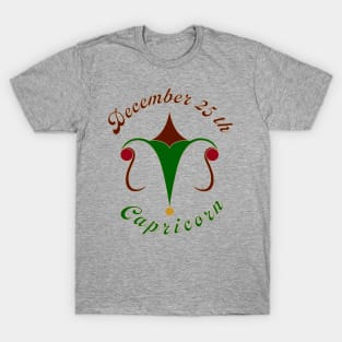 December 25th Capricorn - Xmas and Newton's birthday logo - Silver Background T-Shirt